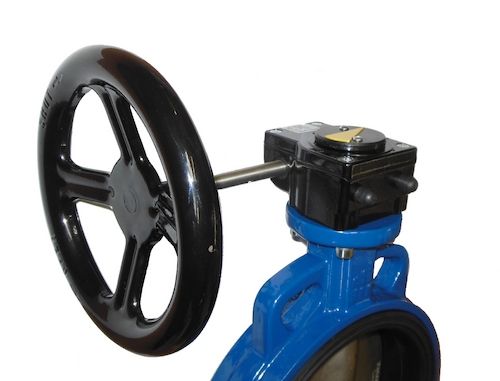 Worm gears